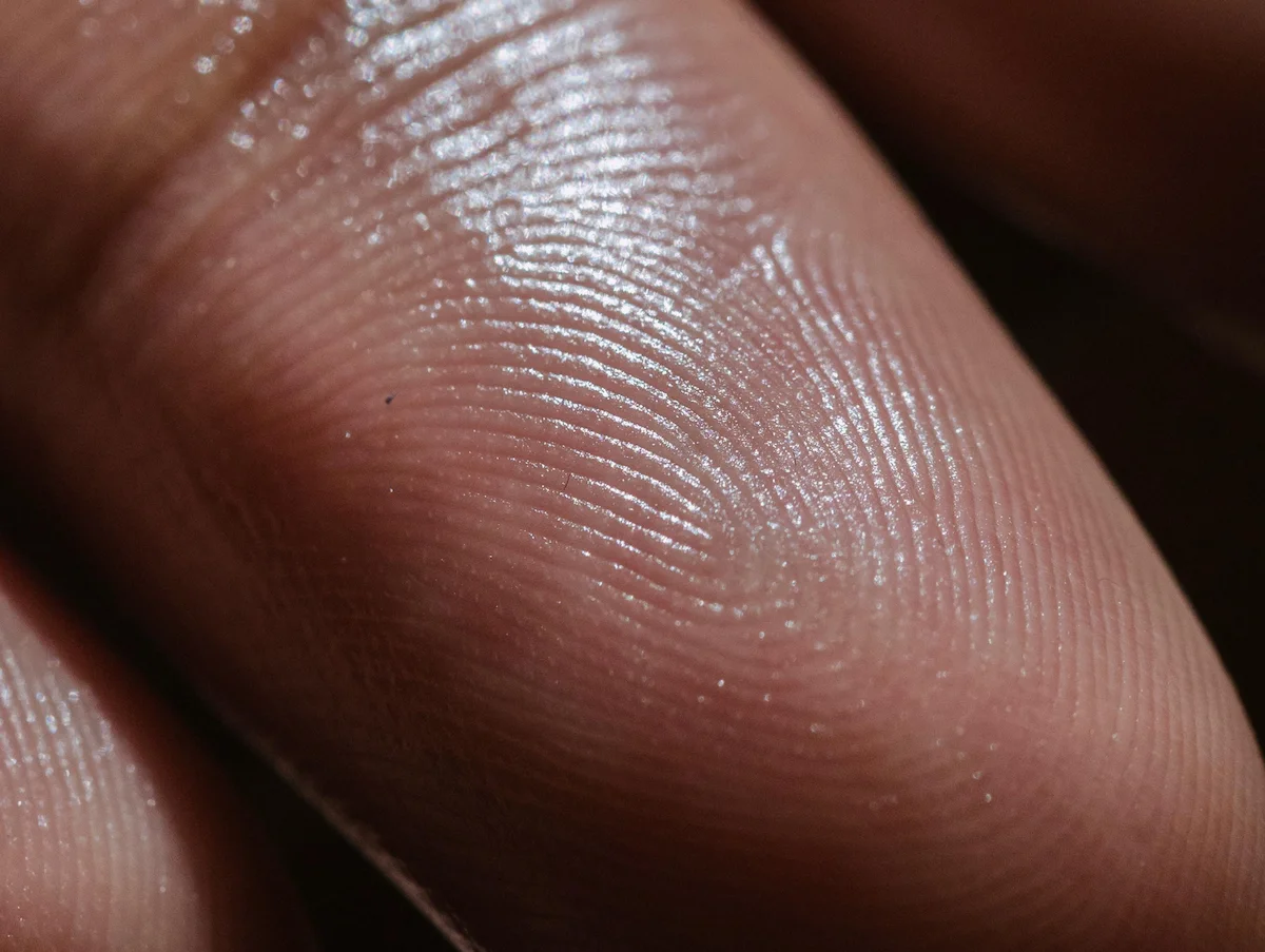 Proportioned Fingertips