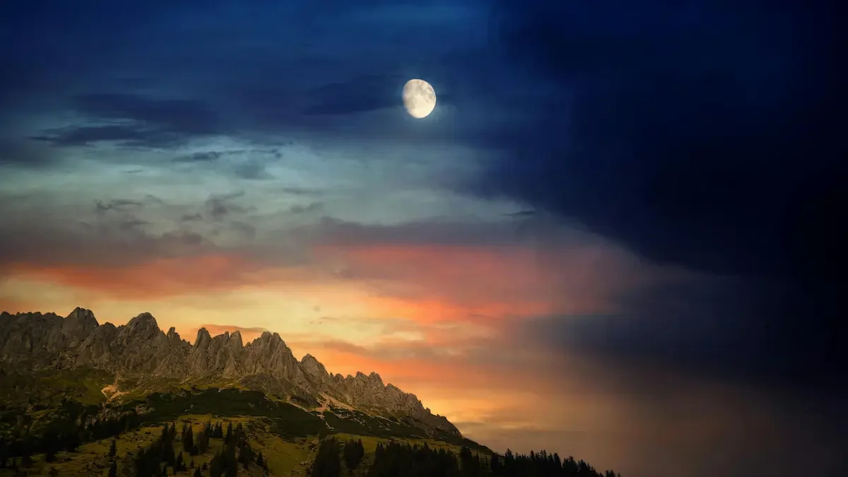 The Night for Stillness